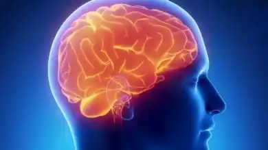 Cientistas mapeiam a atividade cerebral de médiuns