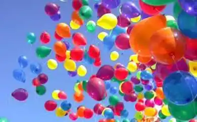 Comemoração Aniversário FEMS