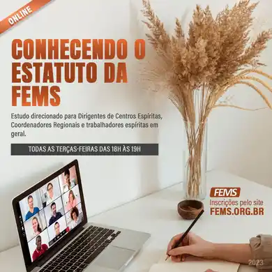 Conhecendo o Estatuto da FEMS