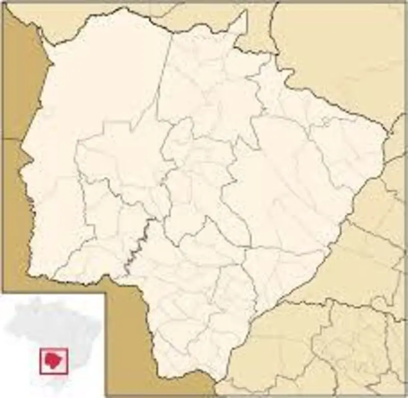 Conselho Federativo Estadual - CFE