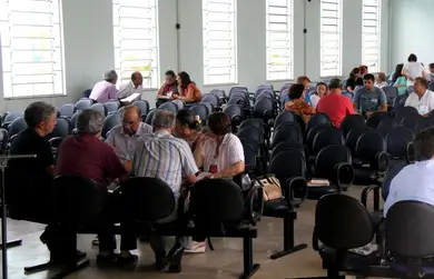 Conselho Federativo Estadual 