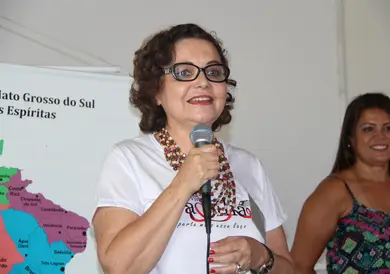 Conselho Federativo Estadual