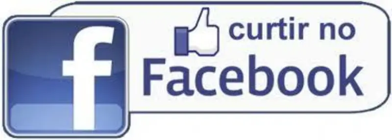 Fan Page FEMS
