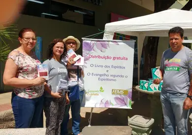 FEMS realiza Projeto Semente Espírita no Estado