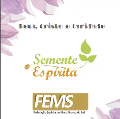 FEMS realiza Projeto Semente Espírita no Estado