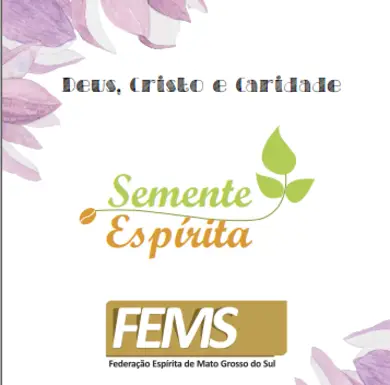 FEMS realiza Projeto Semente Espírita no Estado