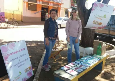 FEMS realiza Projeto Semente Espírita no Estado