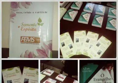 FEMS realiza Projeto Semente Espírita no Estado