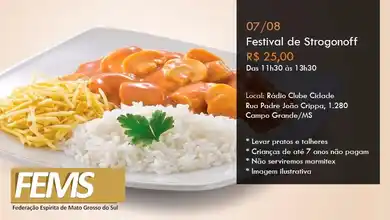Festival de Strogonoff