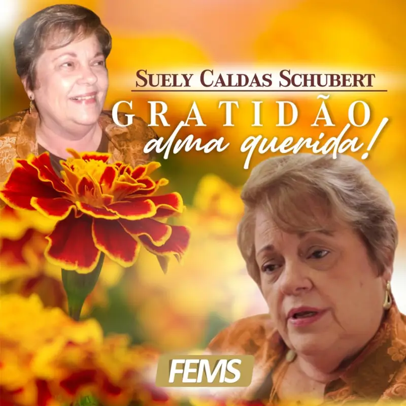 Gratidão alma querida!