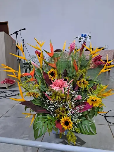 O Estudo da Mediunidade e Mediunidade na Juventude | Dourados