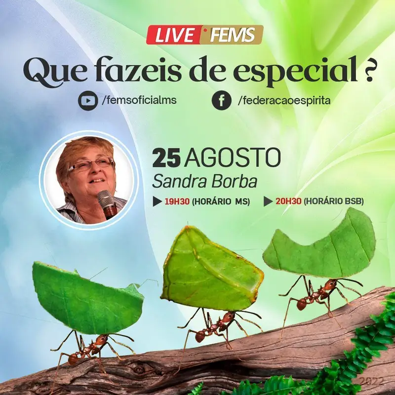 Sandra Borba - Que fazeis de especial? 
