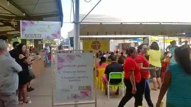 Semente Espírita
